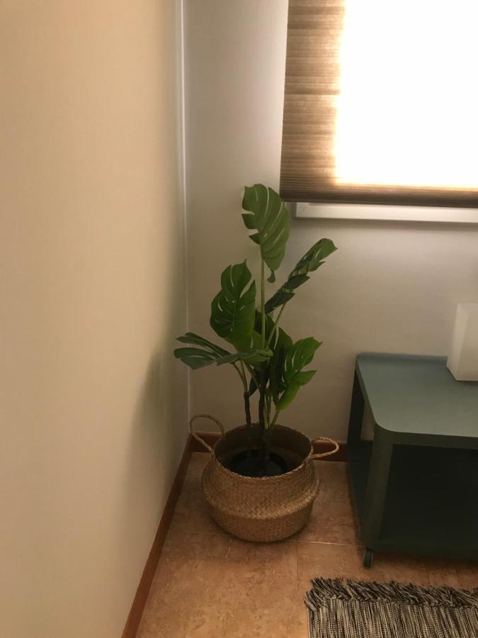 Apartamento recién reformado con vistas al río Balaguer Extérieur photo